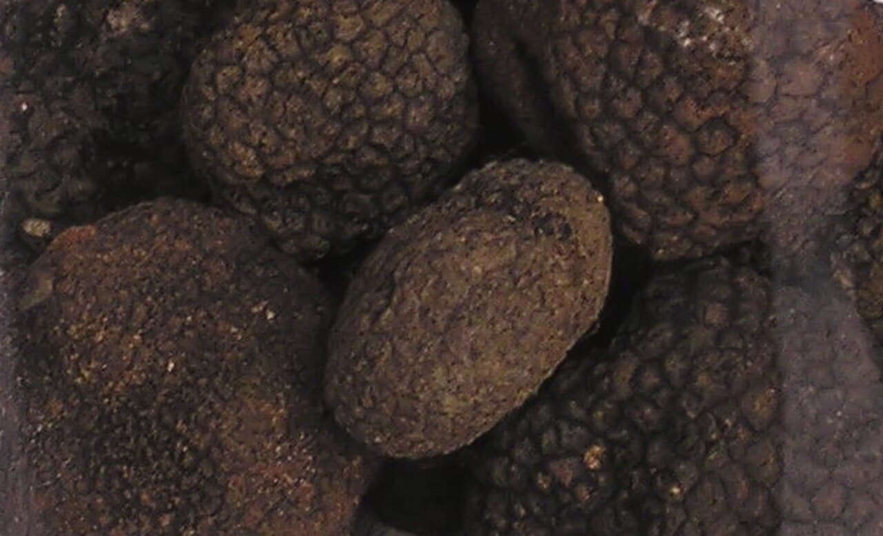 Lanýž letní — charakteristický detail