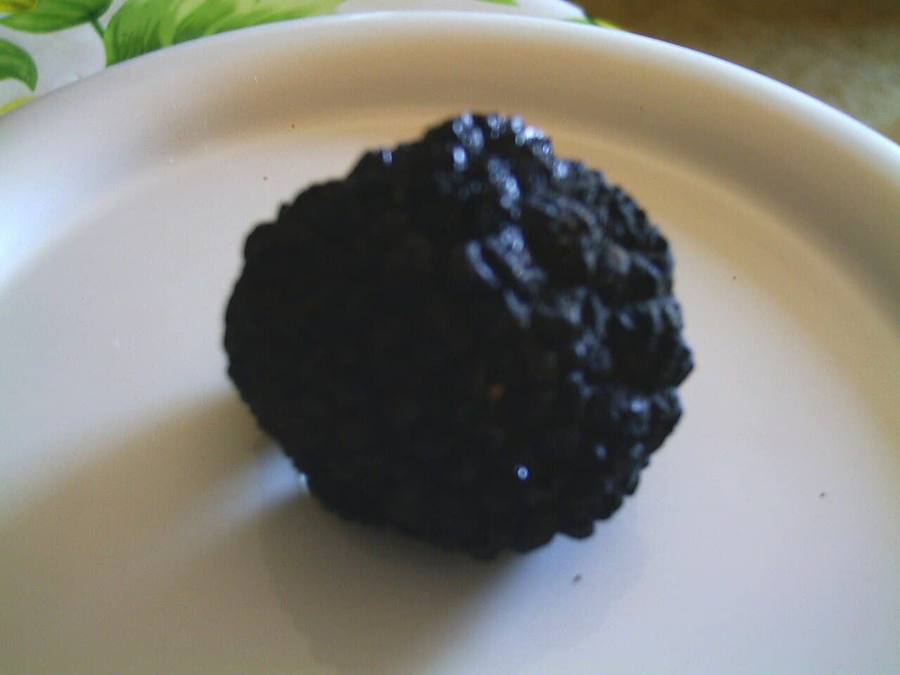 Lanýž letní (Tuber aestivum)