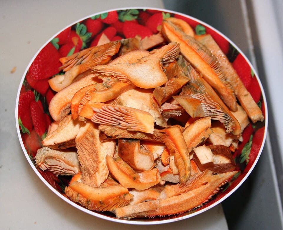 Ryzec pravý (Lactarius deliciosus) — alternativní pohled
